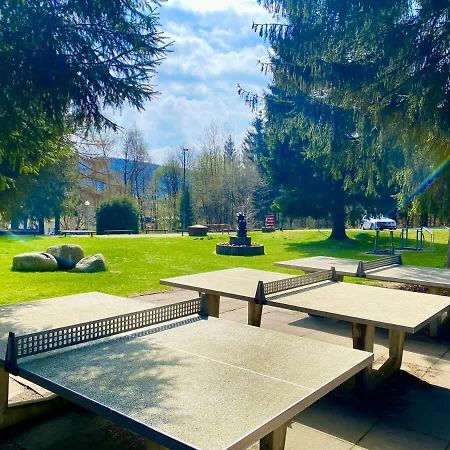 Relaxapartments Abendsonne Im Herzen Des Harzes - Ein El Dorado Fuer Wanderer, Biker Und Ruhesuchende - Mit Sonnigem Balkon Und Platz Fuer Bis Zu 3 Personen Гослар Экстерьер фото