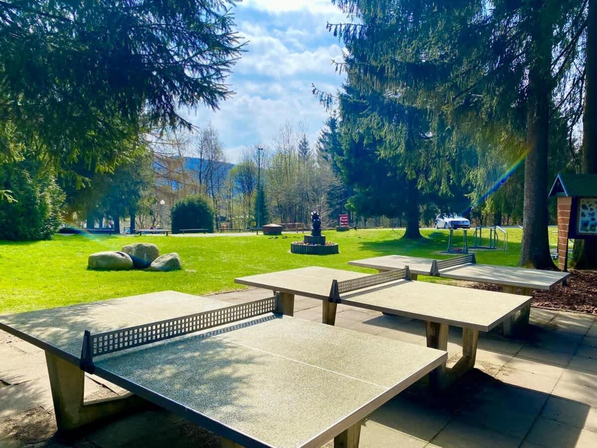 Relaxapartments Abendsonne Im Herzen Des Harzes - Ein El Dorado Fuer Wanderer, Biker Und Ruhesuchende - Mit Sonnigem Balkon Und Platz Fuer Bis Zu 3 Personen Гослар Экстерьер фото