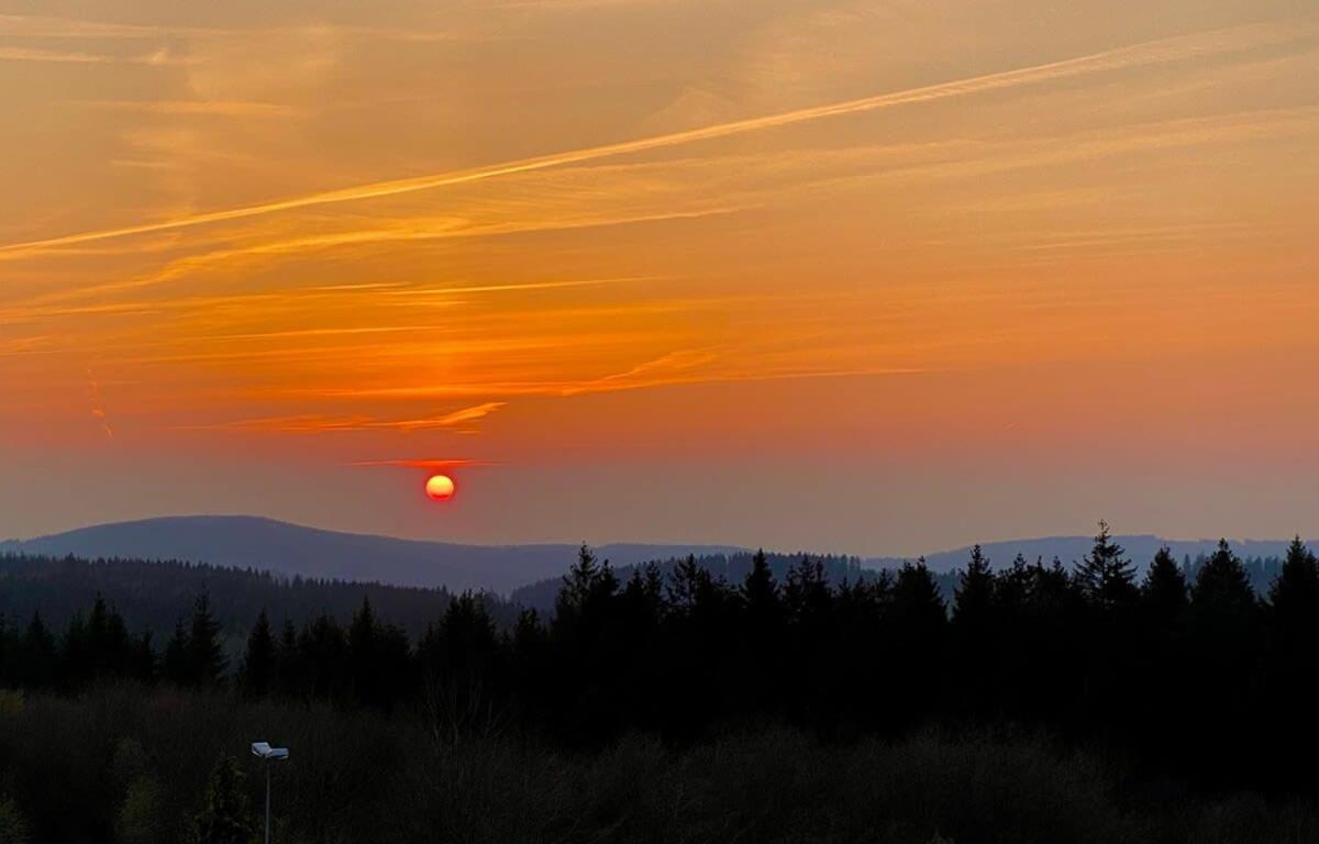 Relaxapartments Abendsonne Im Herzen Des Harzes - Ein El Dorado Fuer Wanderer, Biker Und Ruhesuchende - Mit Sonnigem Balkon Und Platz Fuer Bis Zu 3 Personen Гослар Экстерьер фото