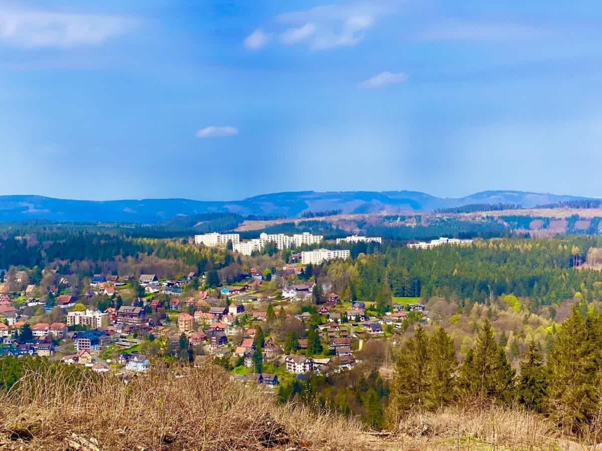 Relaxapartments Abendsonne Im Herzen Des Harzes - Ein El Dorado Fuer Wanderer, Biker Und Ruhesuchende - Mit Sonnigem Balkon Und Platz Fuer Bis Zu 3 Personen Гослар Экстерьер фото