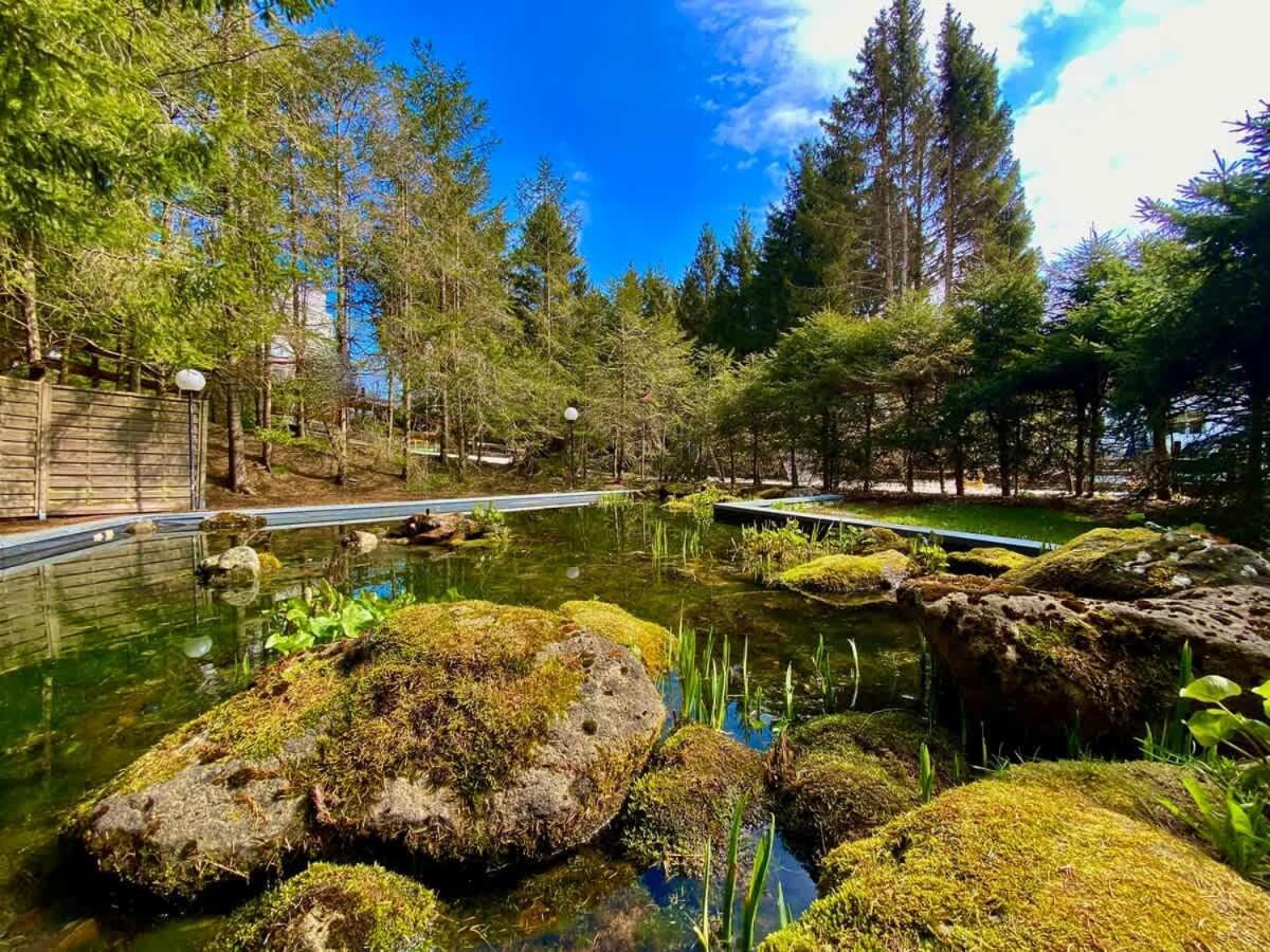 Relaxapartments Abendsonne Im Herzen Des Harzes - Ein El Dorado Fuer Wanderer, Biker Und Ruhesuchende - Mit Sonnigem Balkon Und Platz Fuer Bis Zu 3 Personen Гослар Экстерьер фото